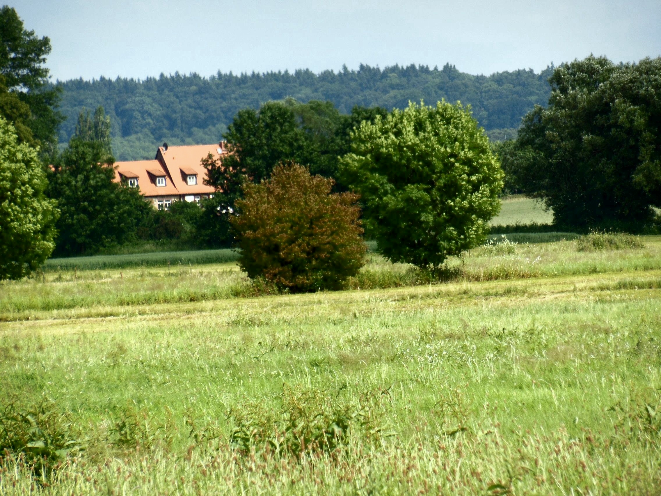 Alte Mühle in der Au vor der Waldsiedlung