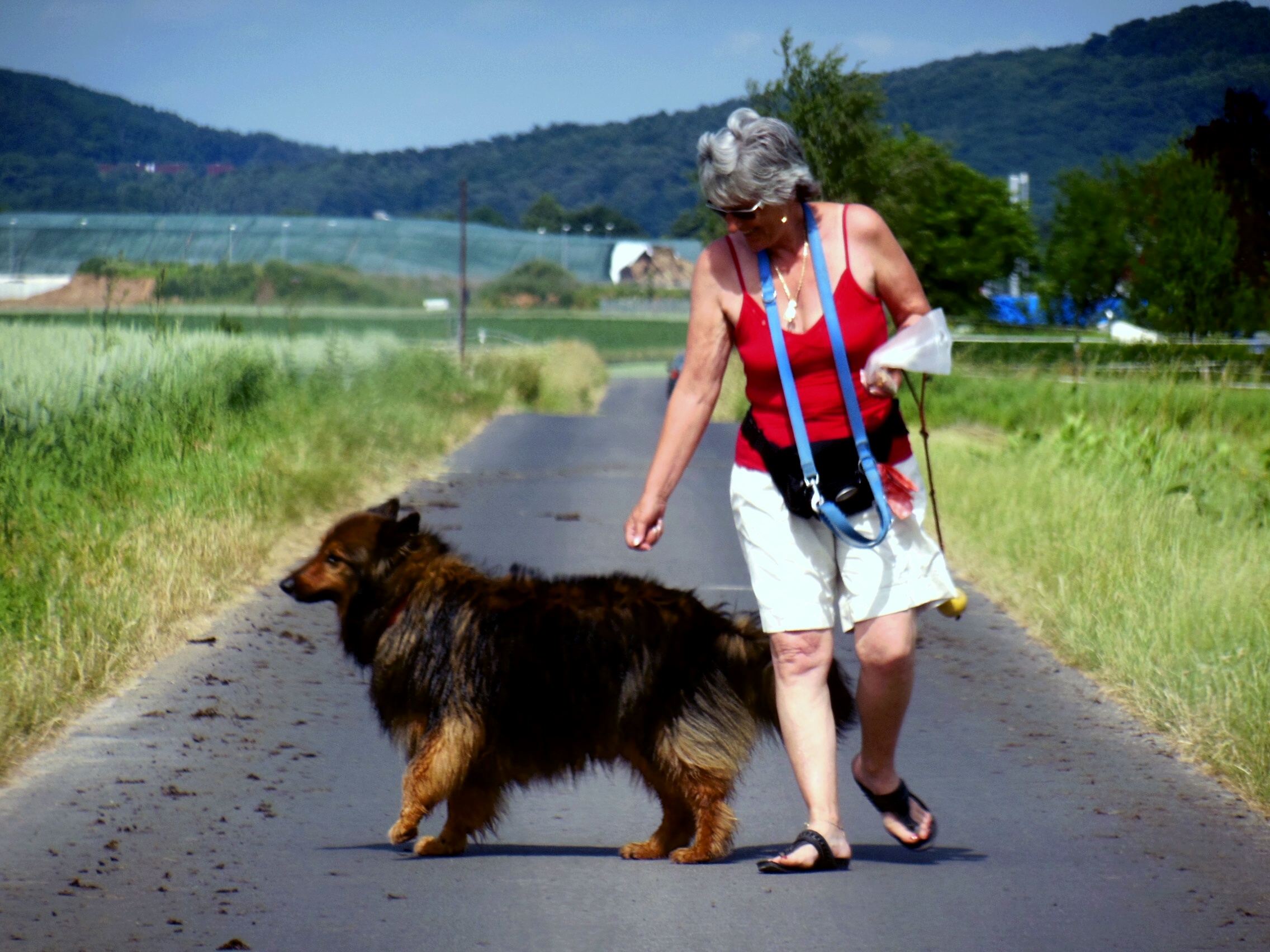 Herrliche Sommerspaziergänge durch die Au